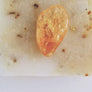 Bright Future: Organic Orange Peel Powder and Camu Camu, Grapefruit Essential Oil and Citrine Soap Bar